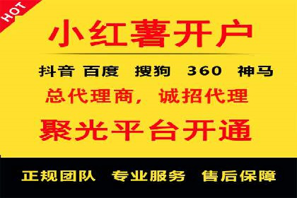某公司信息流广告的精准投放与效果评估